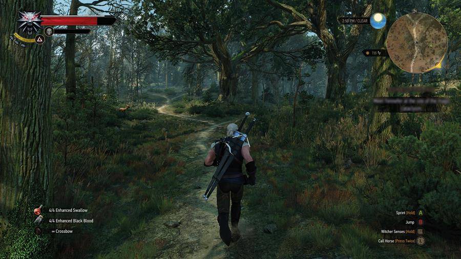 Witcher-3-11_900x506