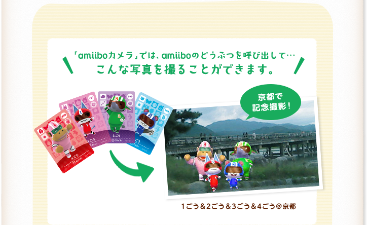 animal-crossing-new-leaf-amiibo_camera