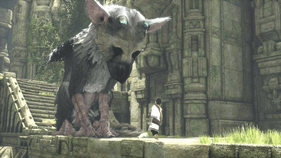 the-last-guardian_900x506