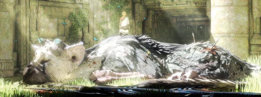 the-last-guardian-10_900x334