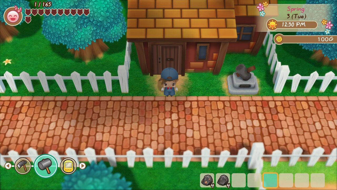 story of seasons friends of mineral town switch price