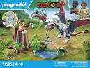 The Joys of Small Playmobil Sets – Playmobil Dinos