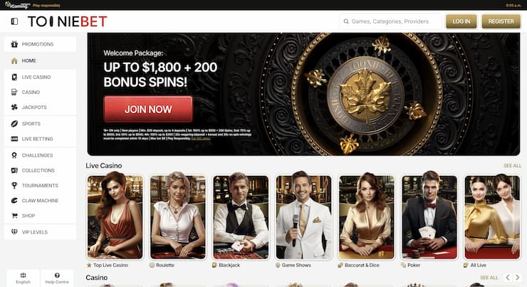 A look at Tooniebet, one of the best online casinos in Canada.