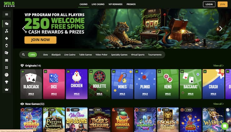 A look at Wild Casino and its popular slot games.