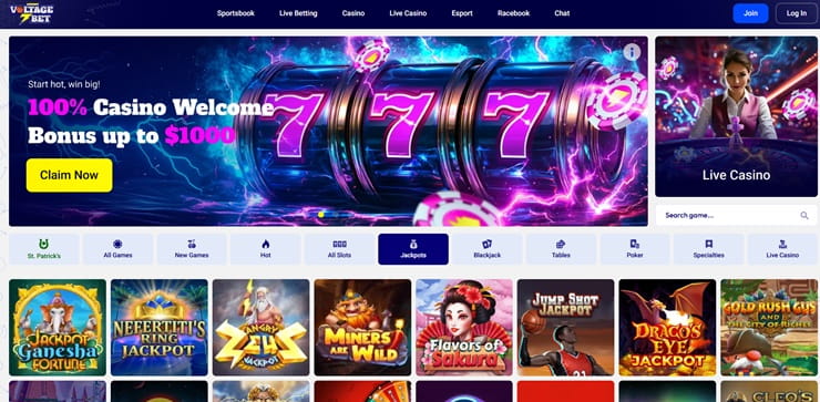 A screenshot of Voltage Bet online casino site