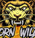Born Wild slot review - title image